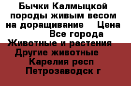 Бычки Калмыцкой породы живым весом на доращивание. › Цена ­ 135 - Все города Животные и растения » Другие животные   . Карелия респ.,Петрозаводск г.